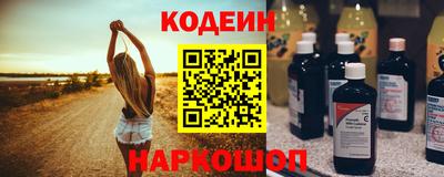 индика Камень-на-Оби