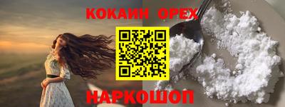 индика Камень-на-Оби
