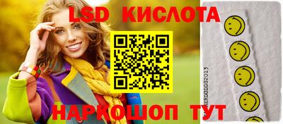 индика Камень-на-Оби