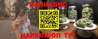 индика Камень-на-Оби