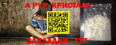 индика Камень-на-Оби