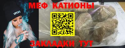 индика Камень-на-Оби