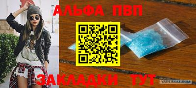индика Камень-на-Оби